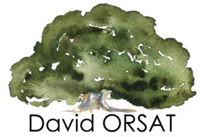 logo david orsat
